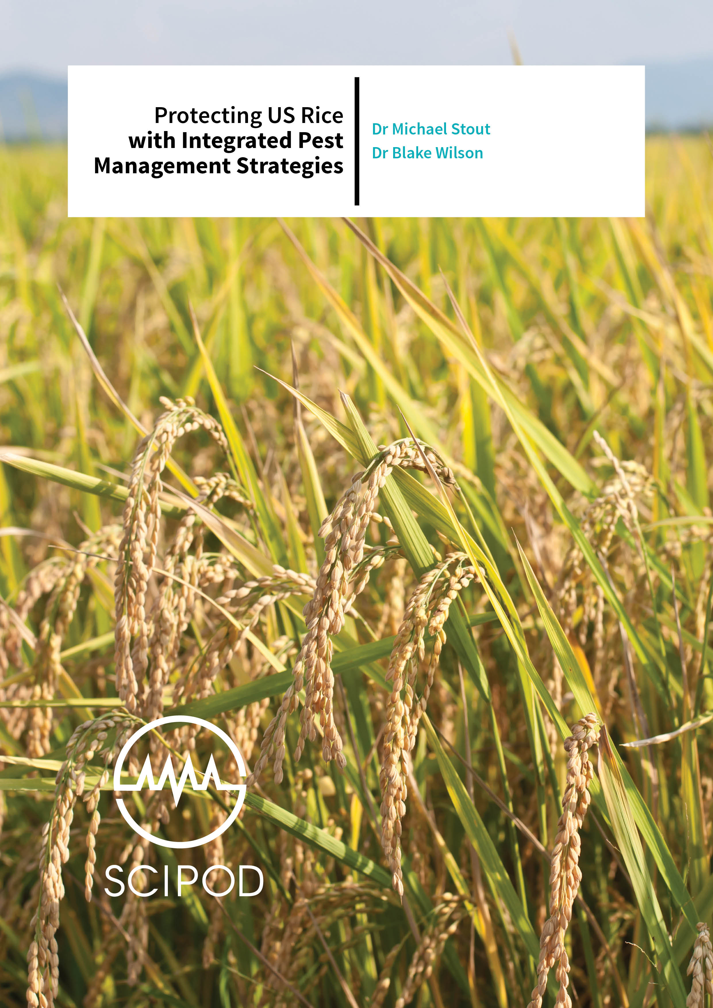 Protecting US Rice with Integrated Pest Management Strategies – Drs  Michael Stout and Blake Wilson, Louisiana State University