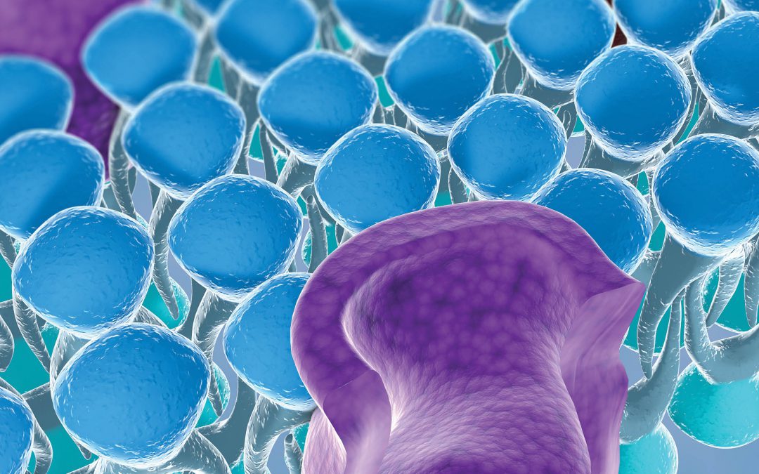 Monitoring and Controlling the Delivery of Single Molecules through Nanopores – Drs Daniel Burden and Lisa Burden, Wheaton College