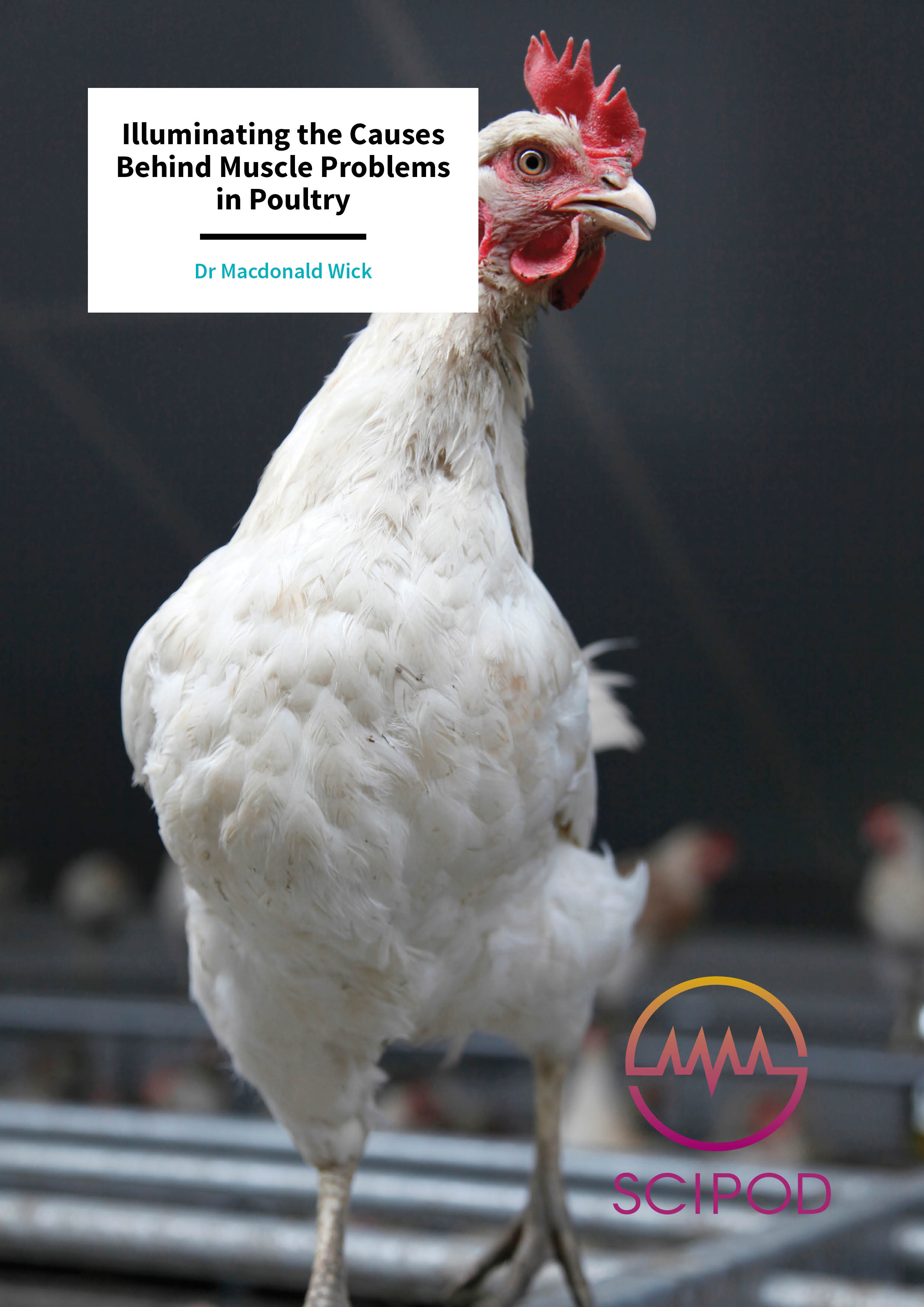Illuminating the Causes Behind Muscle Problems in Poultry – Dr Macdonald Wick, The Ohio State University