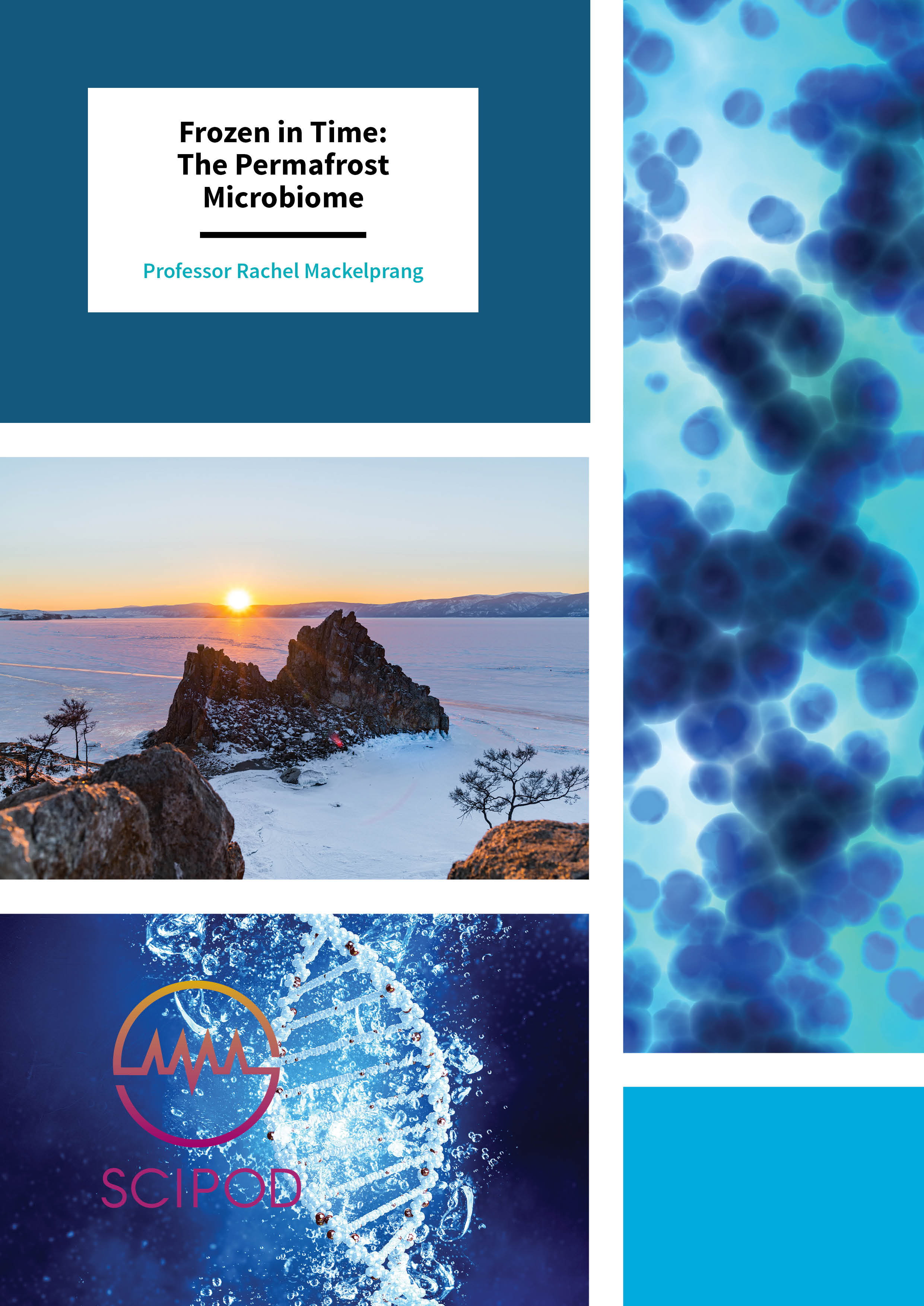 Frozen in Time: The Permafrost Microbiome – Professor Rachel Mackelprang, California State University, Northridge