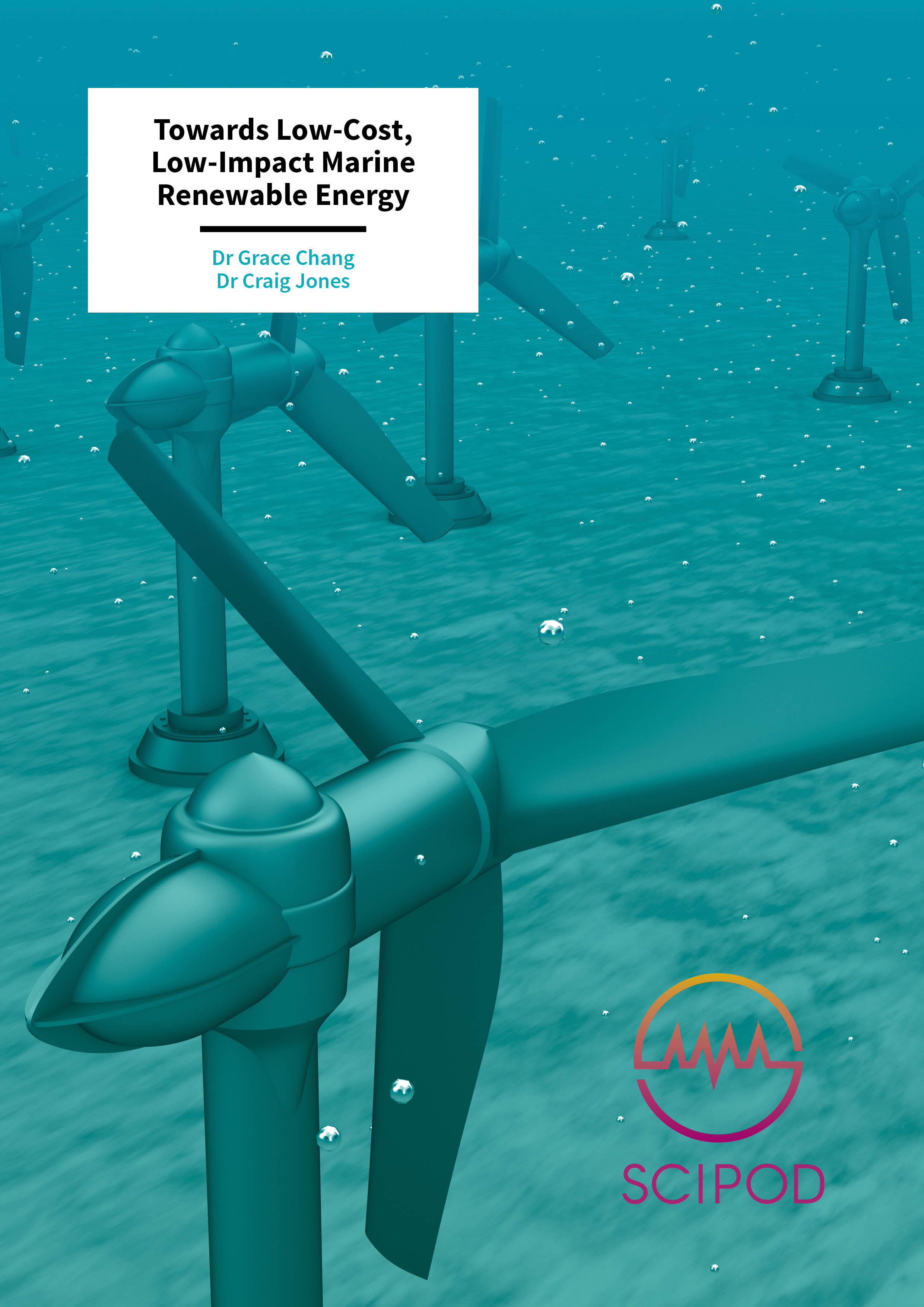 Towards Low-Cost, Low-Impact Marine Renewable Energy – Drs Grace Chang and Craig Jones, Integral Consulting Inc.
