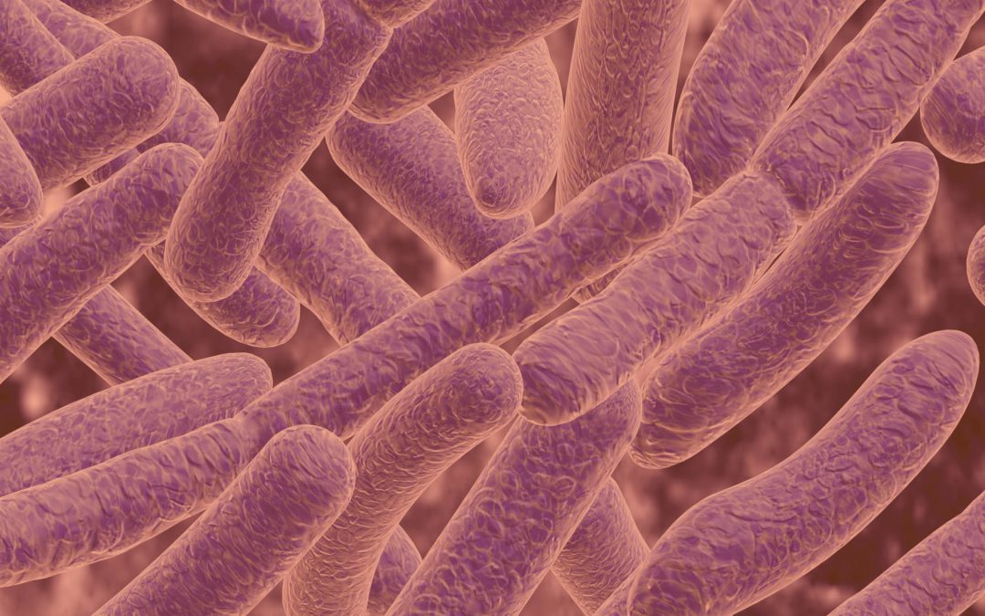 Good Bacteria Gone Bad – Professor Hannah M. Wexler, VA Health Care System
