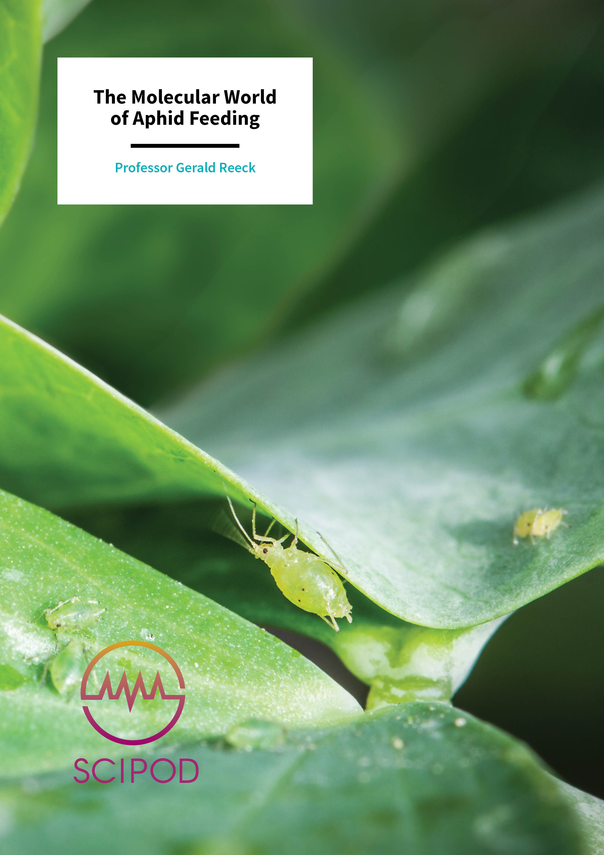 The Molecular World of Aphid Feeding – Professor Gerald Reeck, Kansas State University