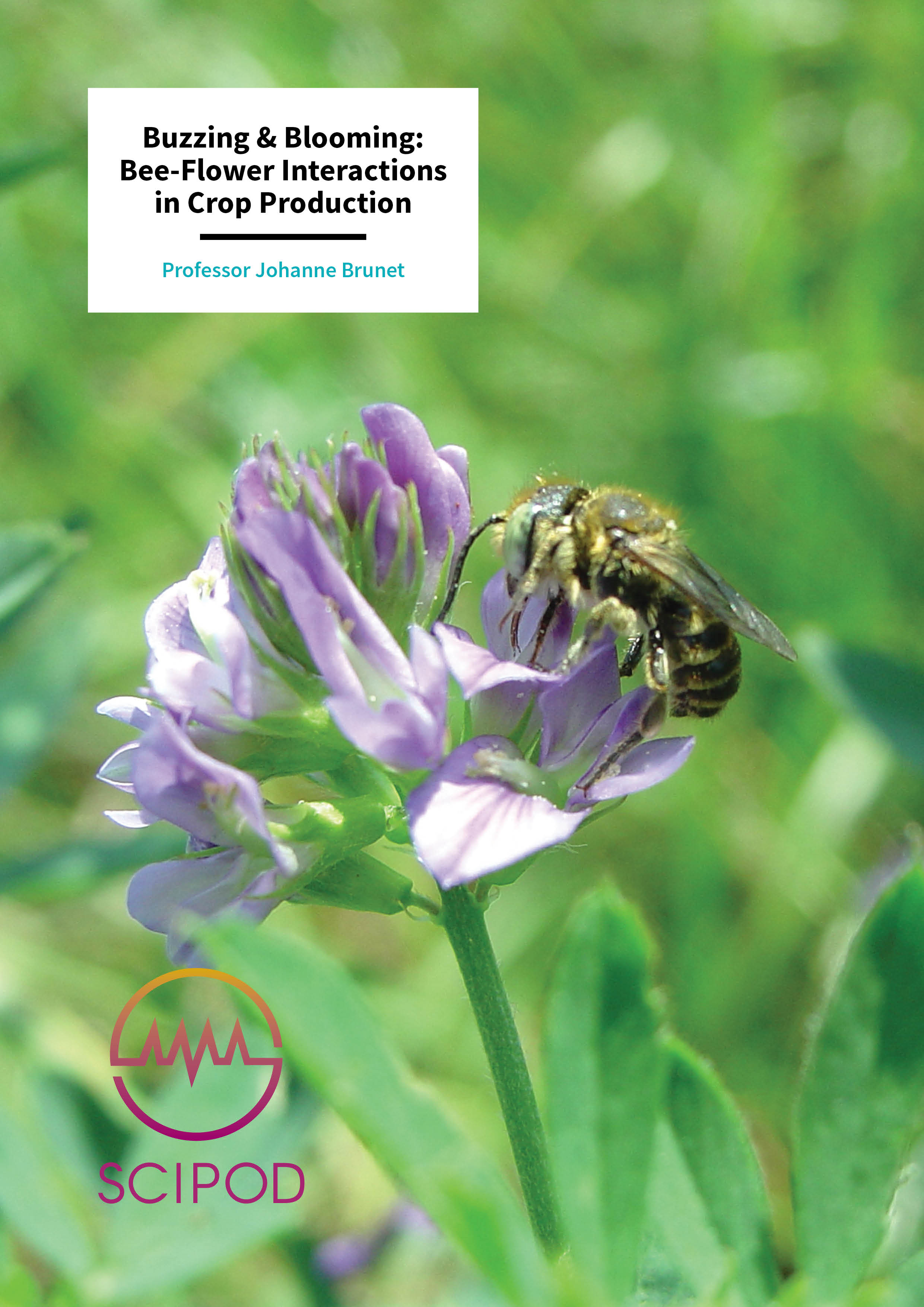 Buzzing & Blooming, Bee-Flower Interactions in Crop Production – Professor Johanne Brunet, USDA-ARS Vegetable Crops Research Unit