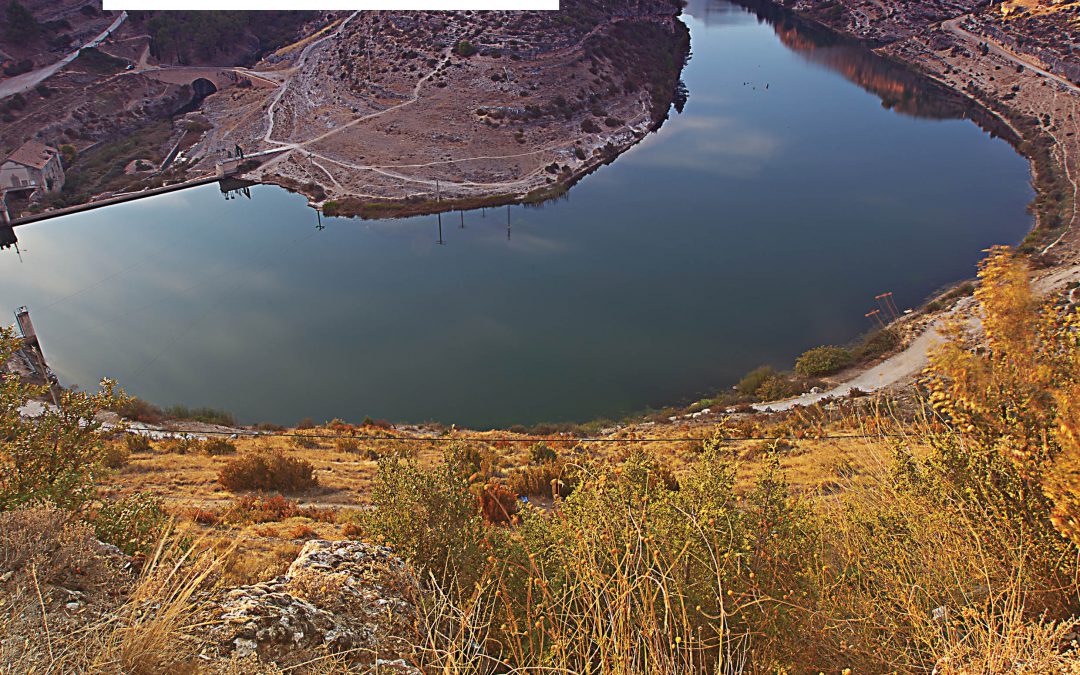 The Role of Policies in Managing Scarce Water Resources – Drs Jose Albiac, Ariel Dinar, Encarna Esteban & Dr Taher Kahil