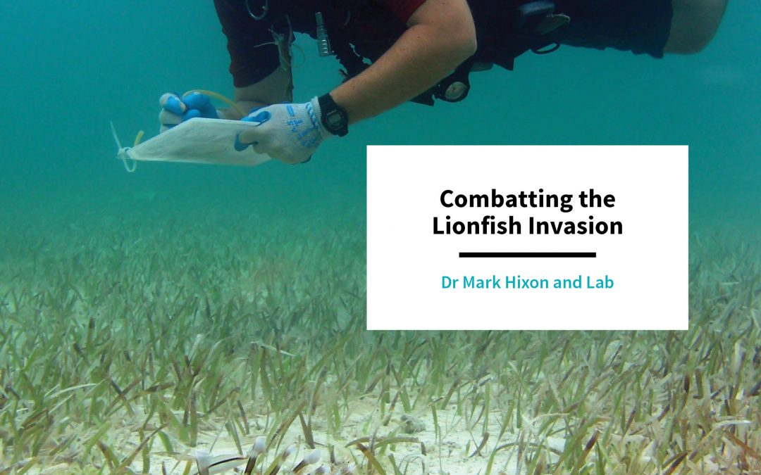 Combatting the Lionfish Invasion – Dr Mark Hixon and Lab, University of Hawaii