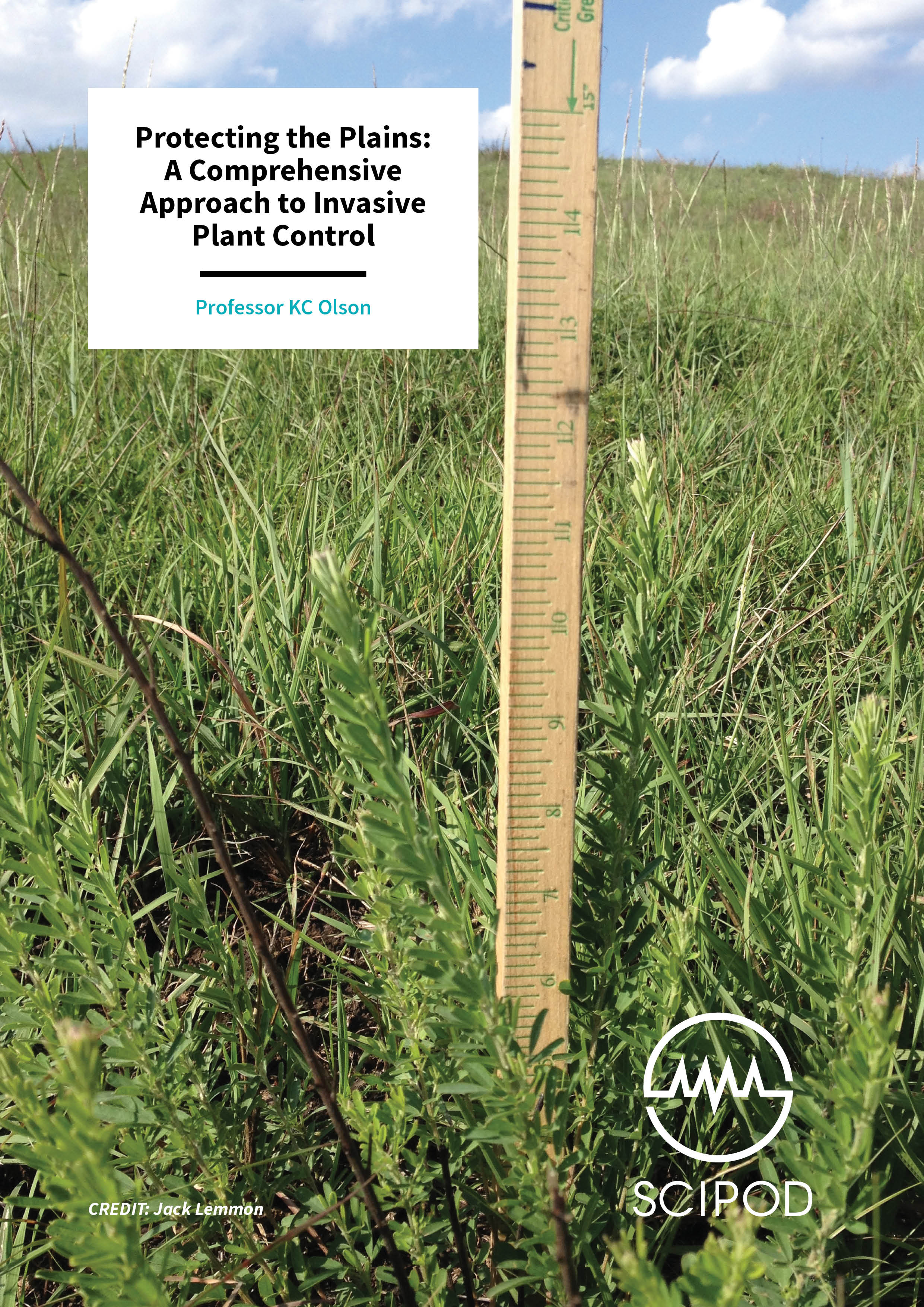 Protecting the Plains, A Comprehensive Approach to Invasive Plant Control – Professor KC Olson, Kansas State University
