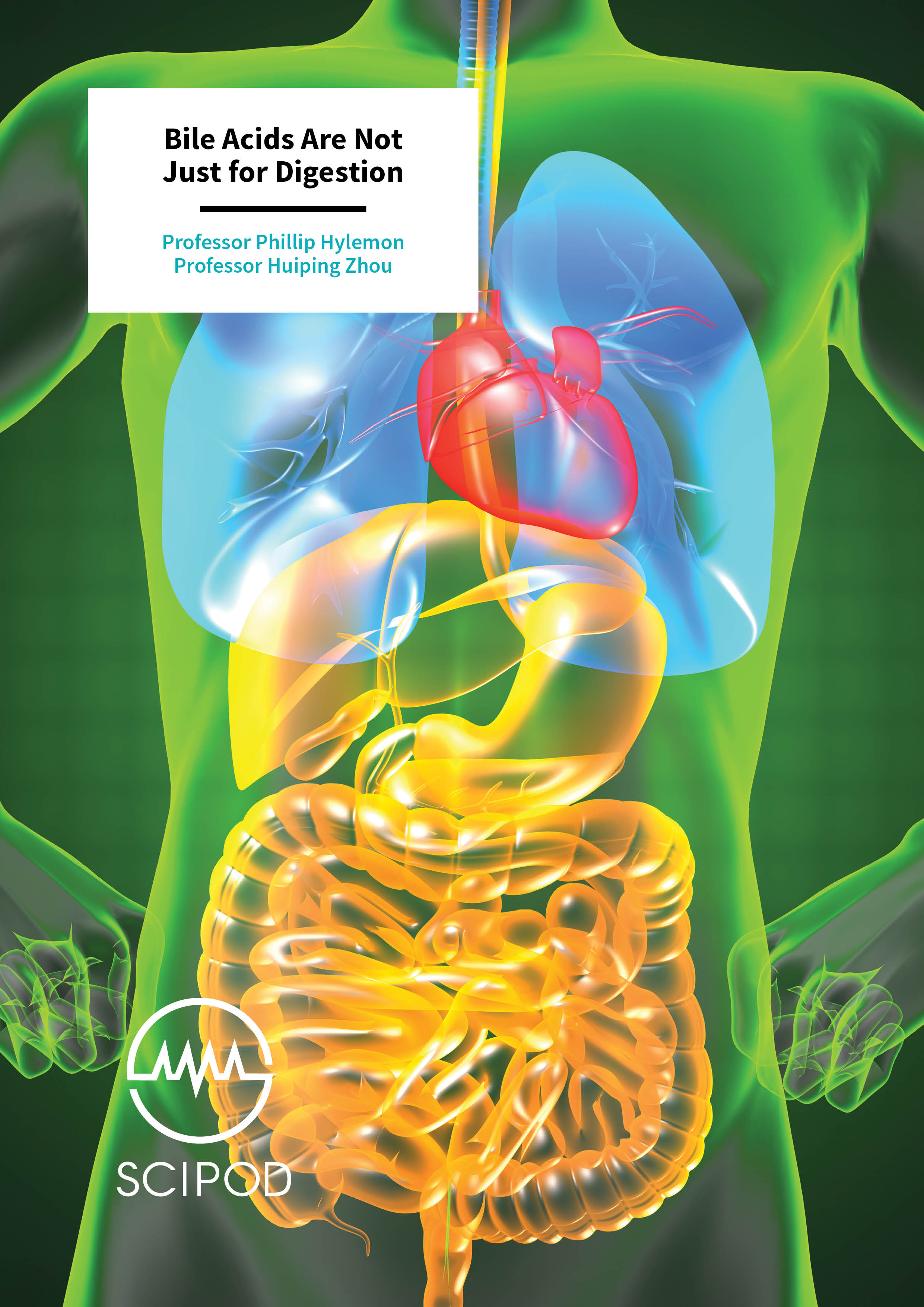 Bile Acids Are Not Just for Digestion – Professors Phillip Hylemon and Huiping Zhou, Virginia Commonwealth University