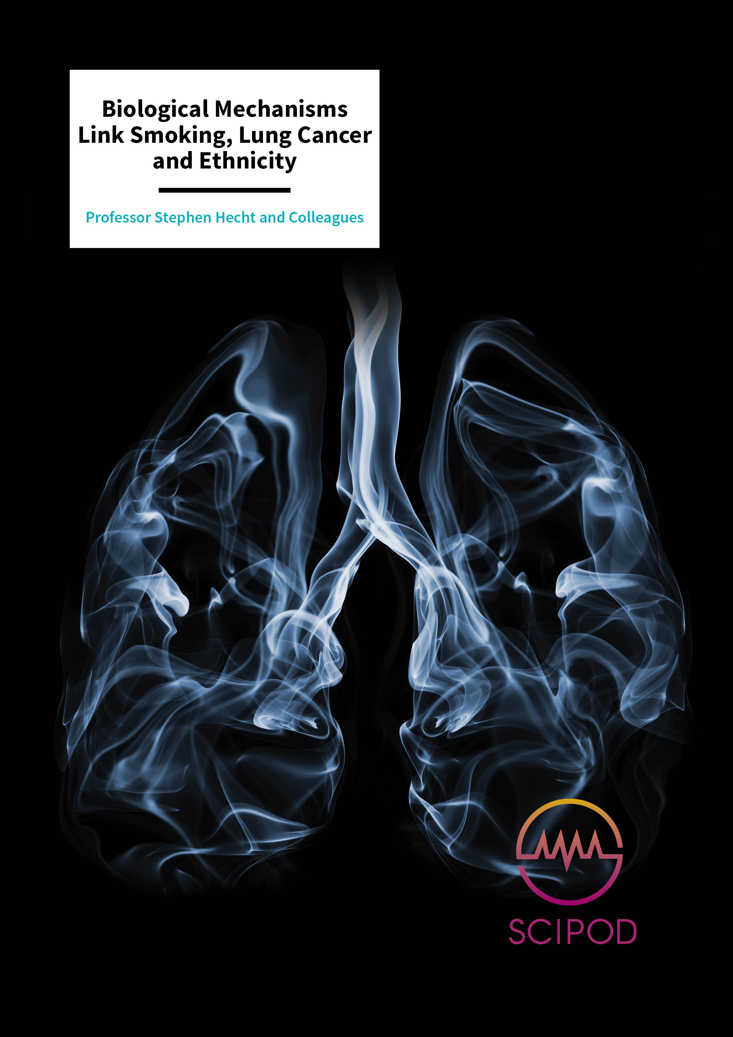 Biological Mechanisms Link Smoking, Lung Cancer and Ethnicity – Professor Stephen Hecht and Colleagues