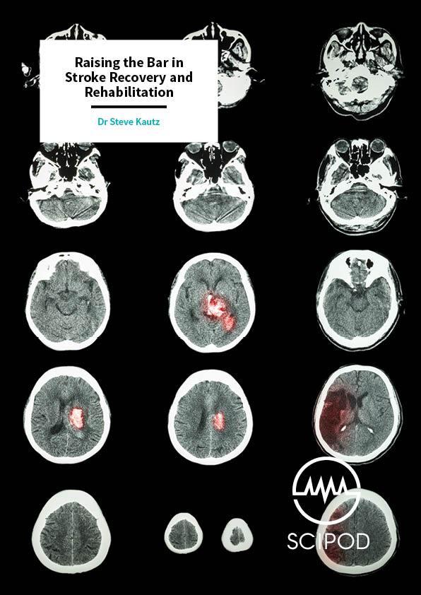 Raising the Bar in Stroke Recovery and Rehabilitation – The Medical University of South Carolina’s Center for Biomedical Research Excellence (COBRE)