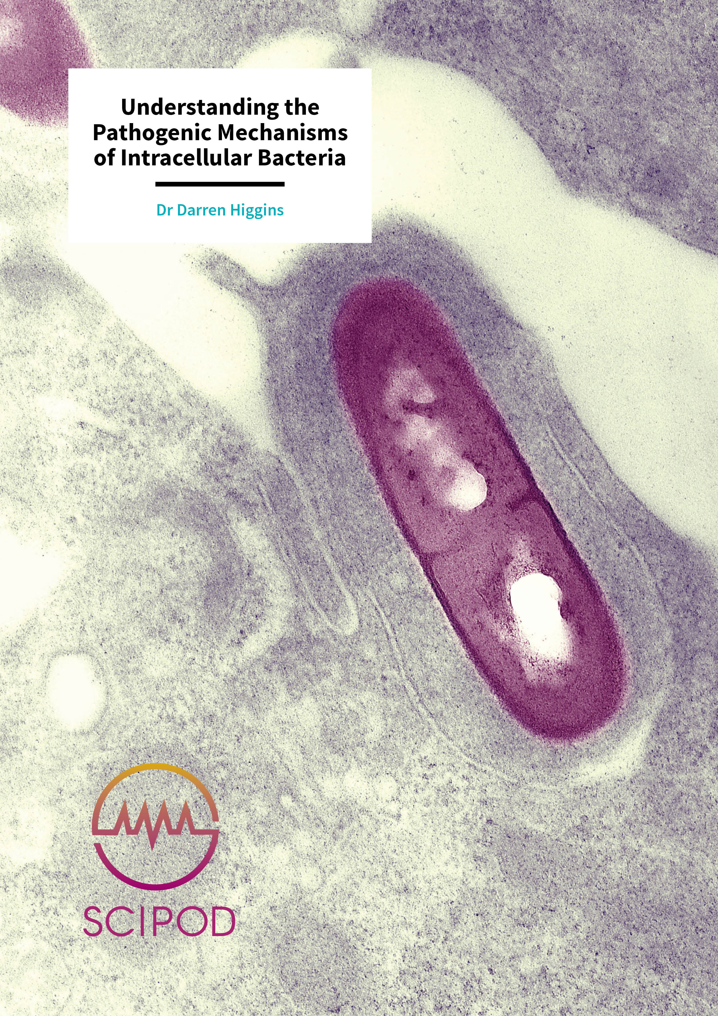 Understanding the Pathogenic Mechanisms of Intracellular Bacteria – Dr Darren Higgins, Harvard Medical School
