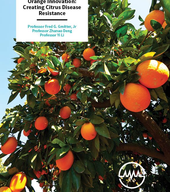 Orange Innovation, Creating Citrus Disease Resistance – Professor Fred G. Gmitter, Jr, Professor Zhanao Deng, Professor Yi Li