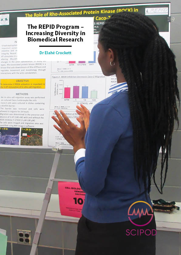 The REPID Program, Increasing Diversity in Biomedical Research – Dr Elahé Crockett, Michigan State University