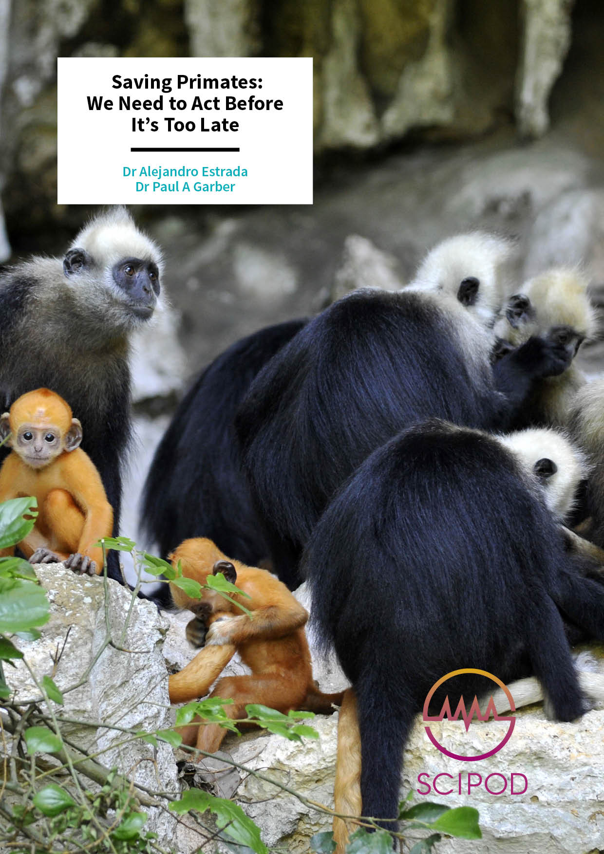 Saving Primates We Need to Act Before It’s Too Late – Drs Alejandro Estrada and Paul A Garber