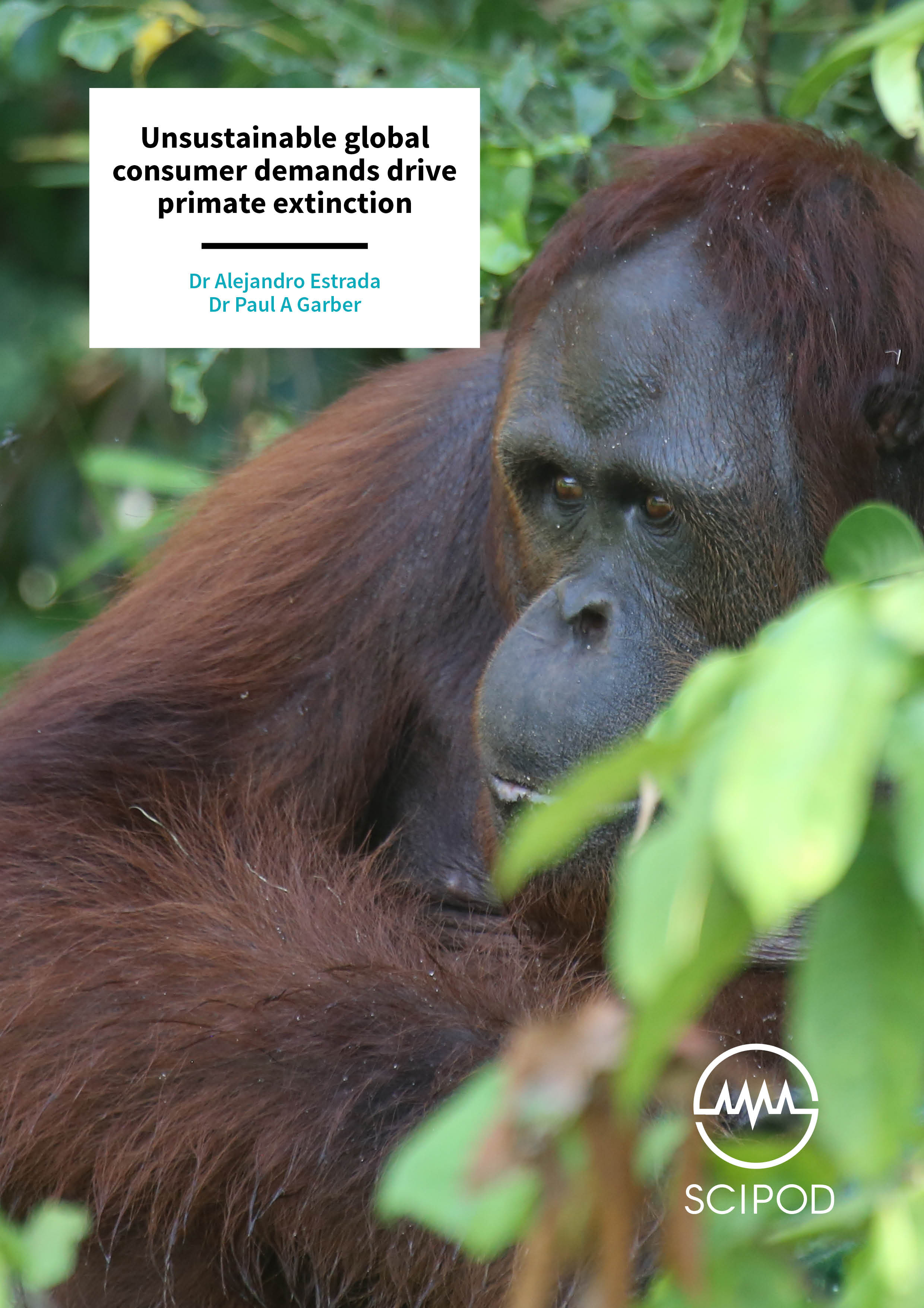 Unsustainable global consumer demands drive primate extinction – Dr Alejandro Estrada and Dr Paul A Garber