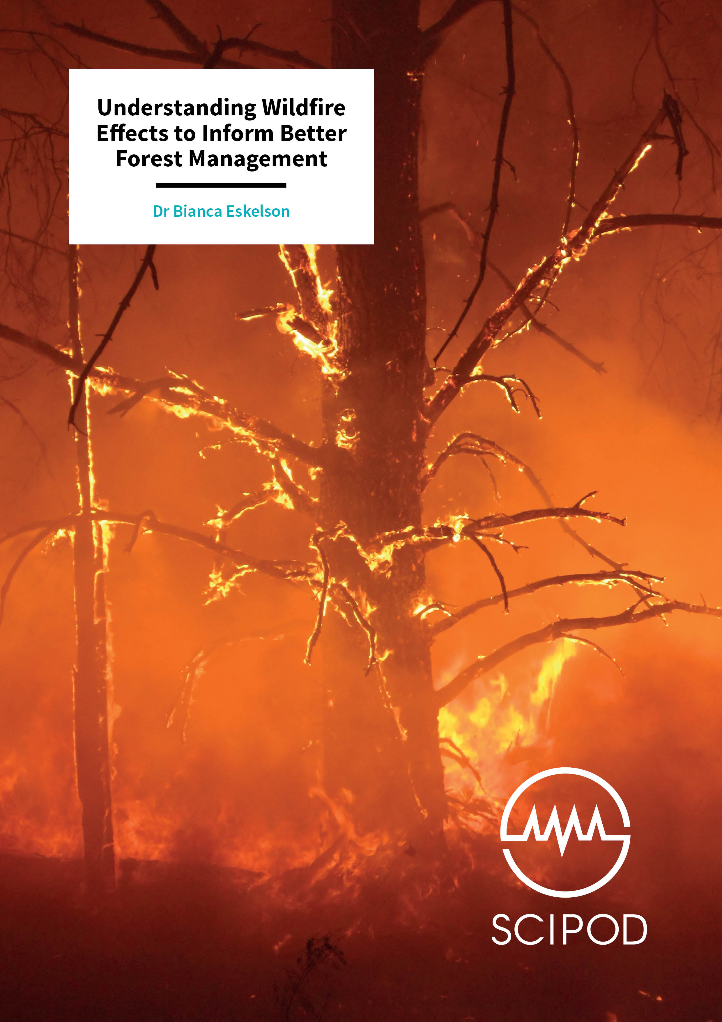 Understanding Wildfire Effects to Inform Better Forest Management – Dr Bianca Eskelson, University of British Columbia
