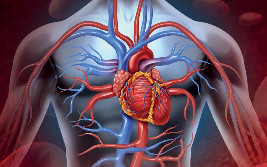 Going with the Flow: New methods for Treating Cardiovascular Disease – Dr York Hsiang, University of British Columbia Vancouver