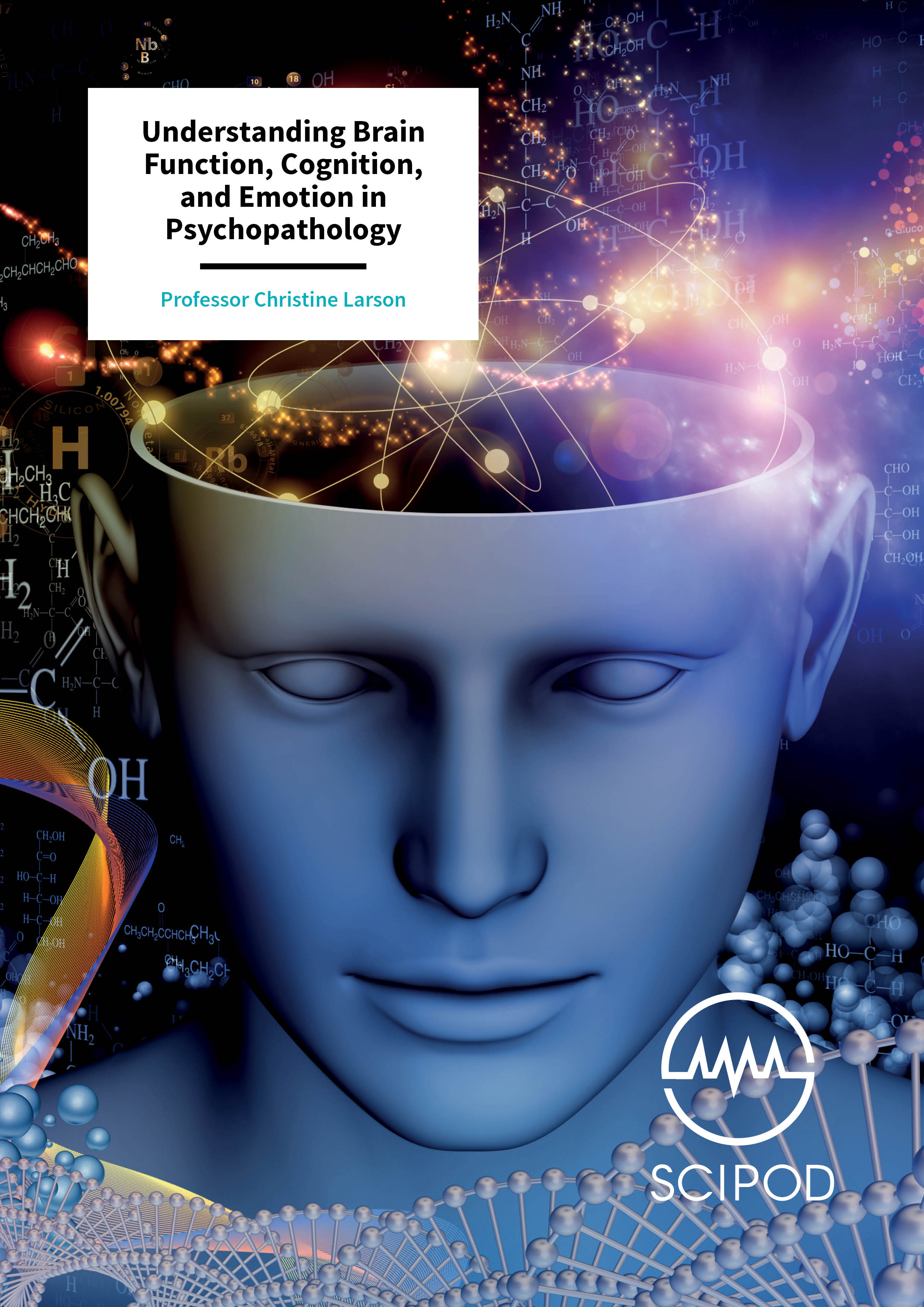 Understanding Brain Function, Cognition, and Emotion in Psychopathology- Professor Christine Larson, University of Wisconsin-Milwaukee