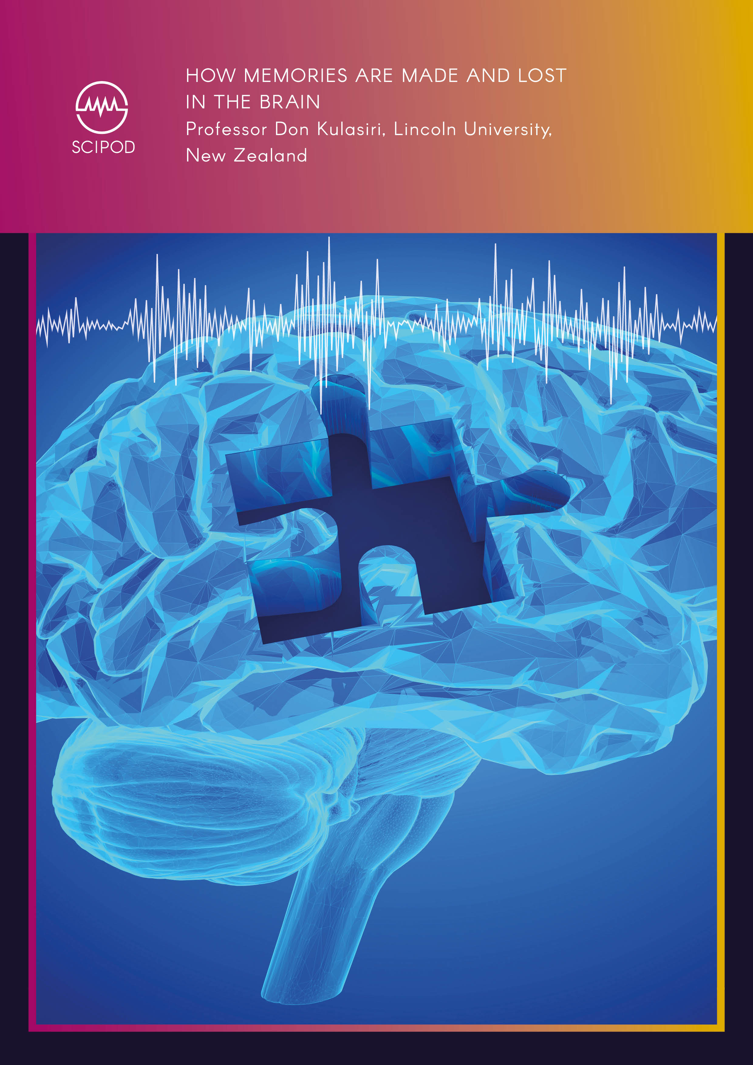 How Memories Are Made And Lost In The Brain – Professor Don Kulasiri, Lincoln University