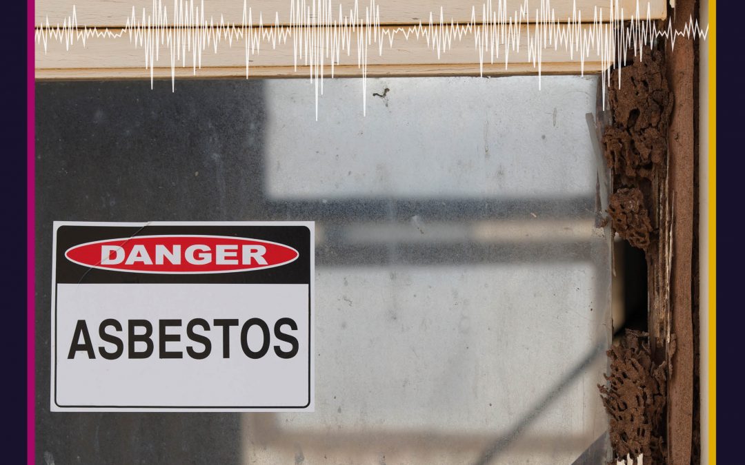 Revitalising Attention on the Global Asbestos Disaster – Dr Jukka Takala, et al.