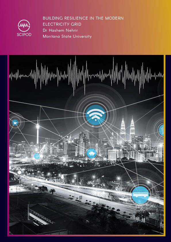 Building Resilience in the Modern Electricity Grid – Dr Hashem Nehrir, Montana State University