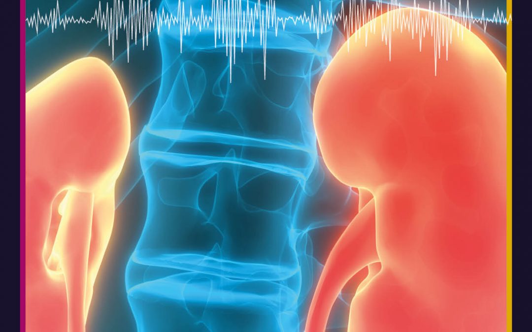 A Personalised Mathematical Model for Anaemia in Patients with Chronic Kidney Disease – Dr Doris H. Fuertinger, Fresenius Medical Care