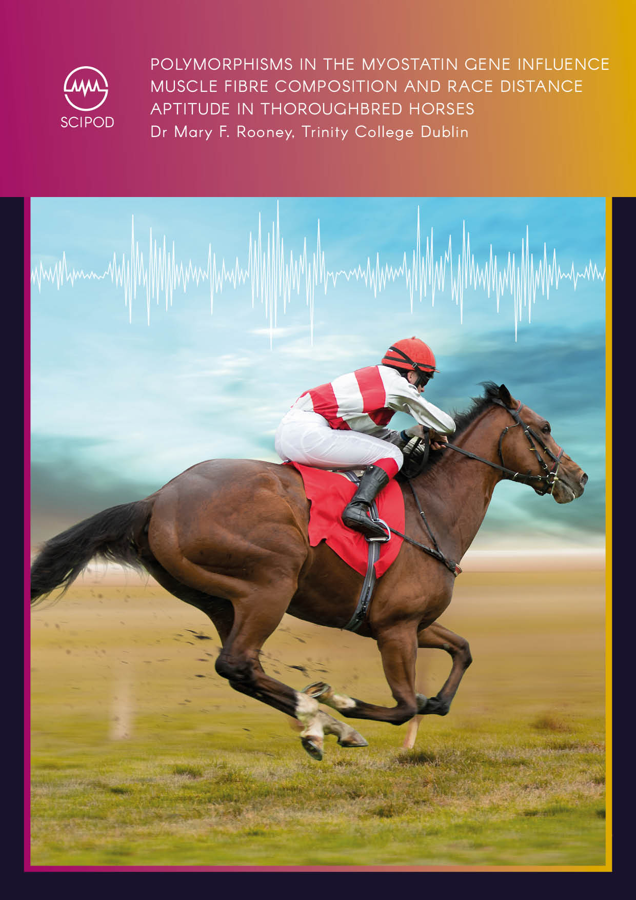 Polymorphisms in the Myostatin Gene Influence Muscle Fibre Composition and Race Distance Aptitude in Thoroughbred horses