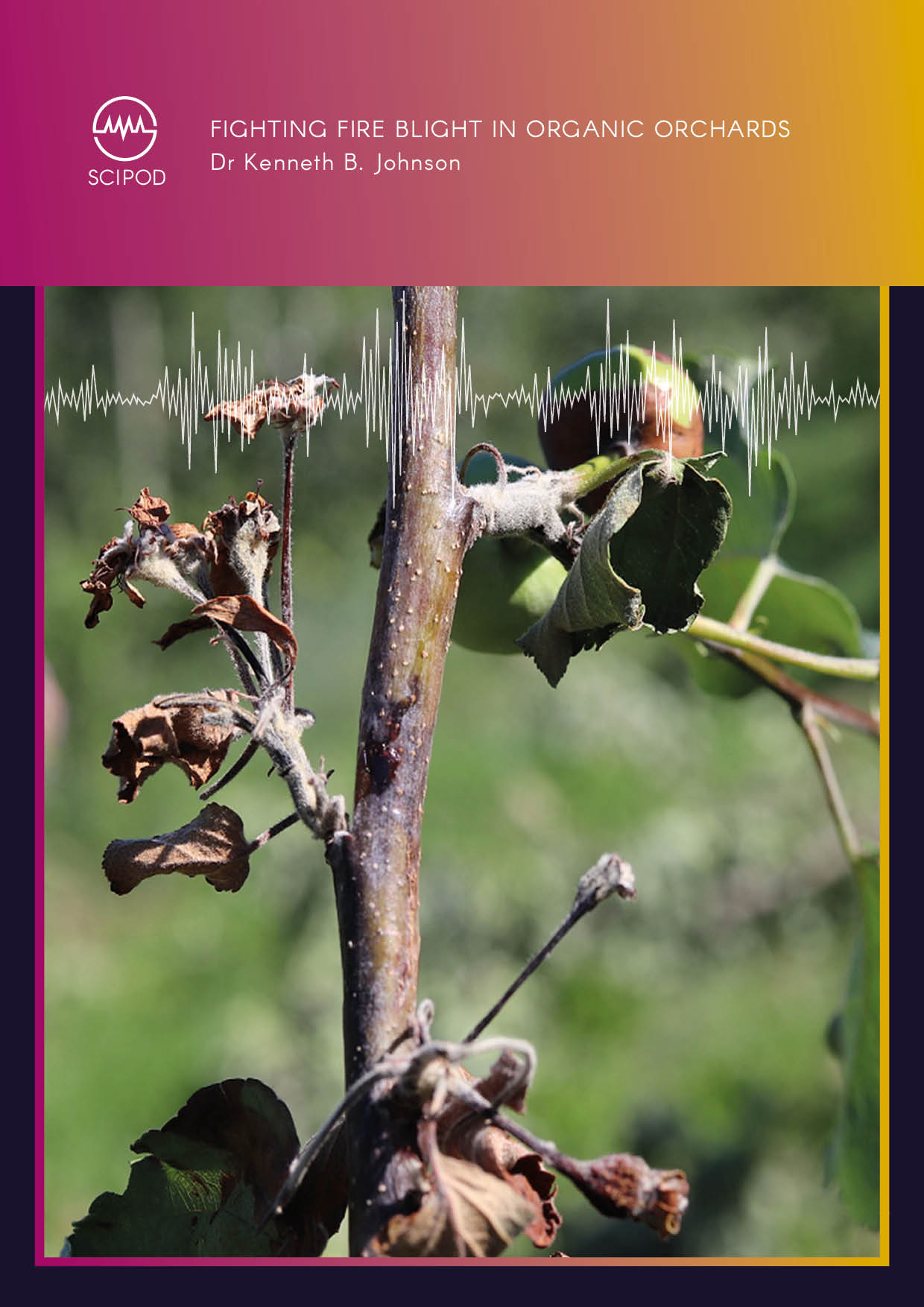 Fighting Fire Blight in Organic Orchards – Dr Kenneth Johnson, Oregon State University