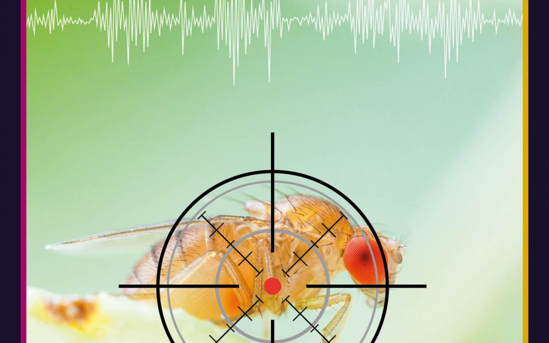 Identifying an Achilles’ Heel in Insecticide Resistance – Dr Barry Pittendrigh, Purdue University
