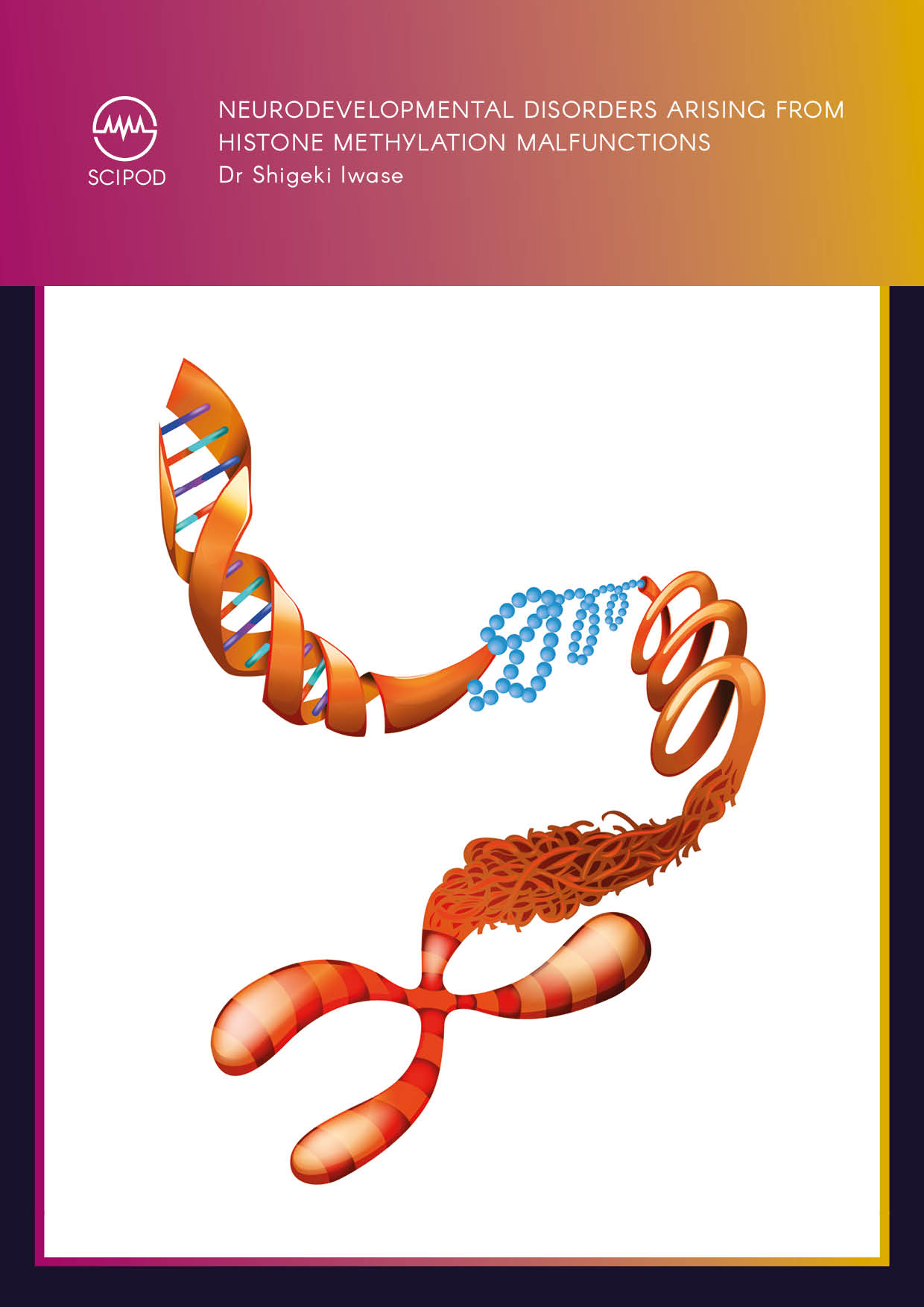 Neurodevelopmental Disorders Arising From Histone Methylation Malfunctions – Dr Shigeki Iwase, University Of Michigan