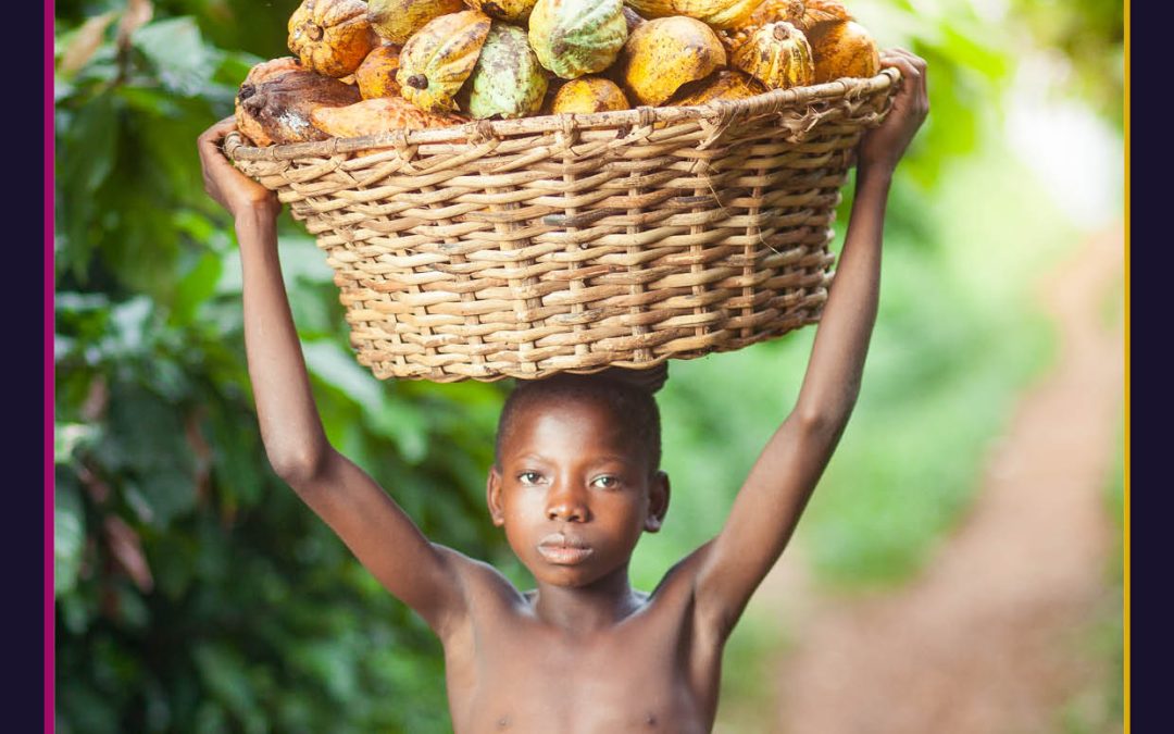 Exploring the Hershey Company’s Child Labour Case | Dr Bertrand Guillotin