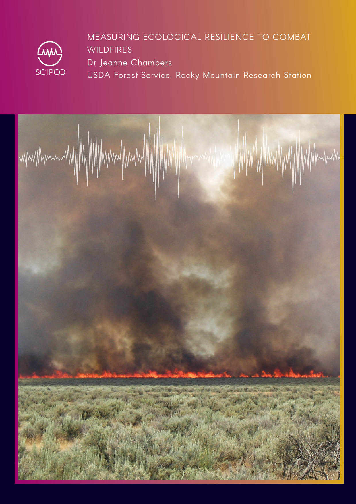 Dr Jeanne Chambers – Measuring Ecological Resilience to Combat Wildfires