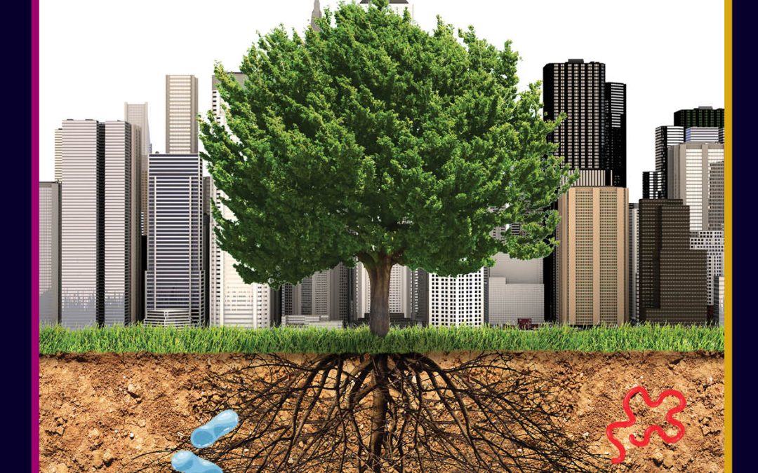 Exploring the Impact of Urbanisation on Soil Microbes | Dr Carl Rosier