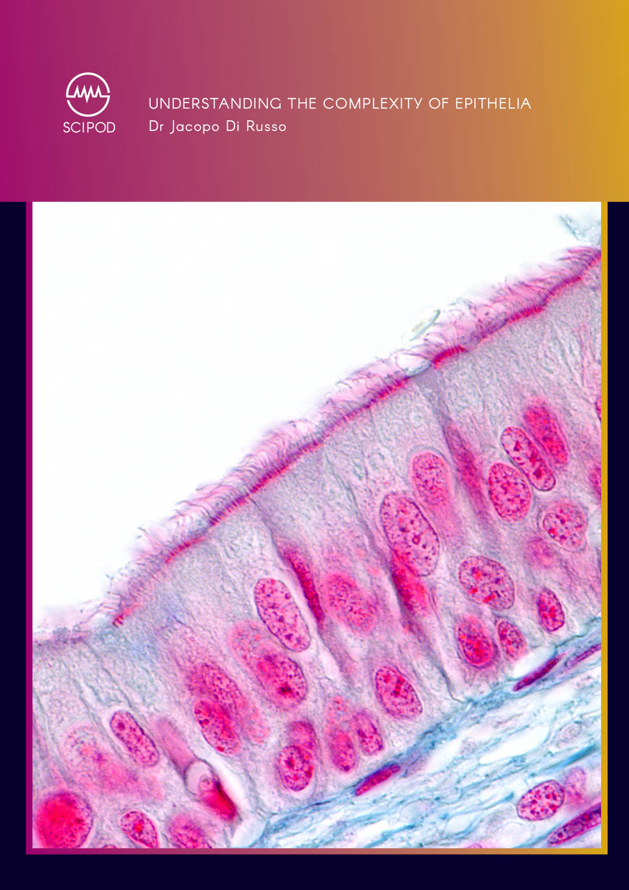 Dr Jacopo Di Russo – Understanding the Complexity of Epithelia