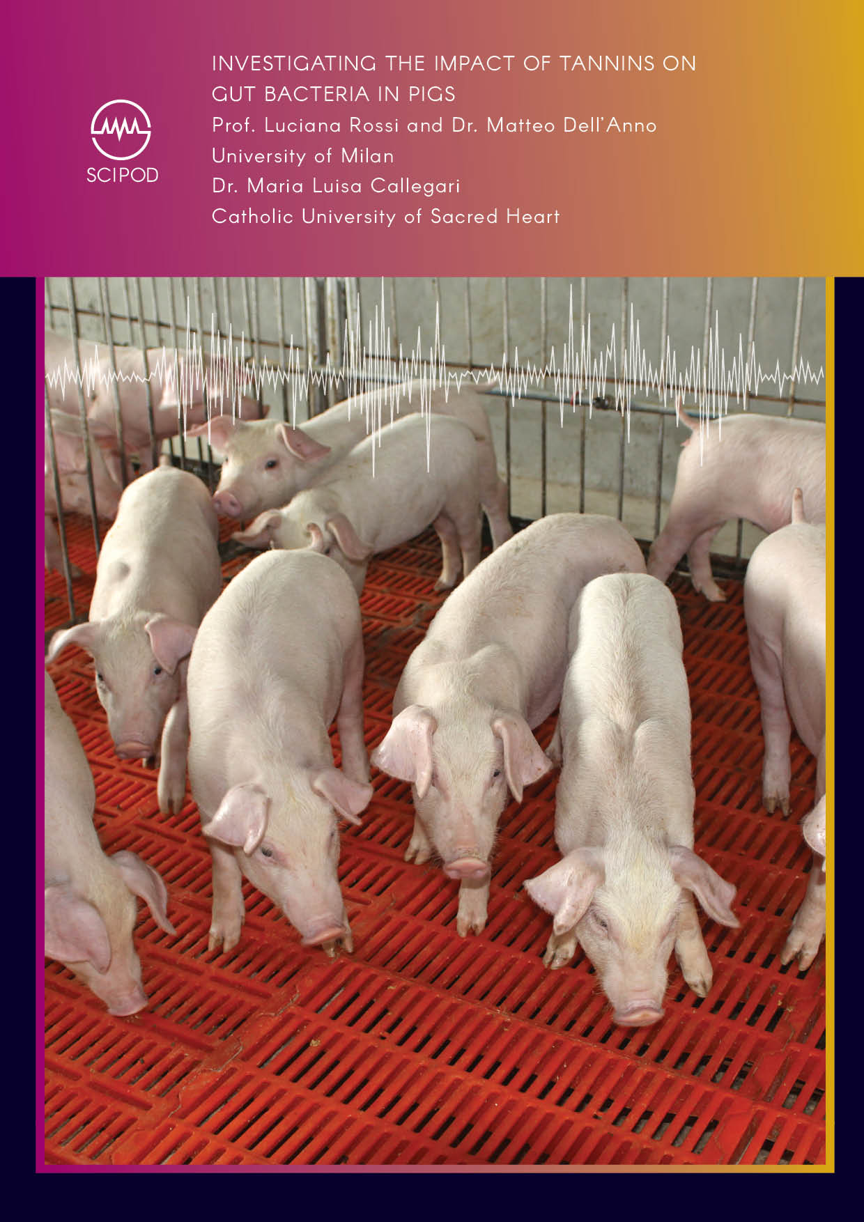 Investigating the Impact of Tannins on Gut Bacteria in Pigs