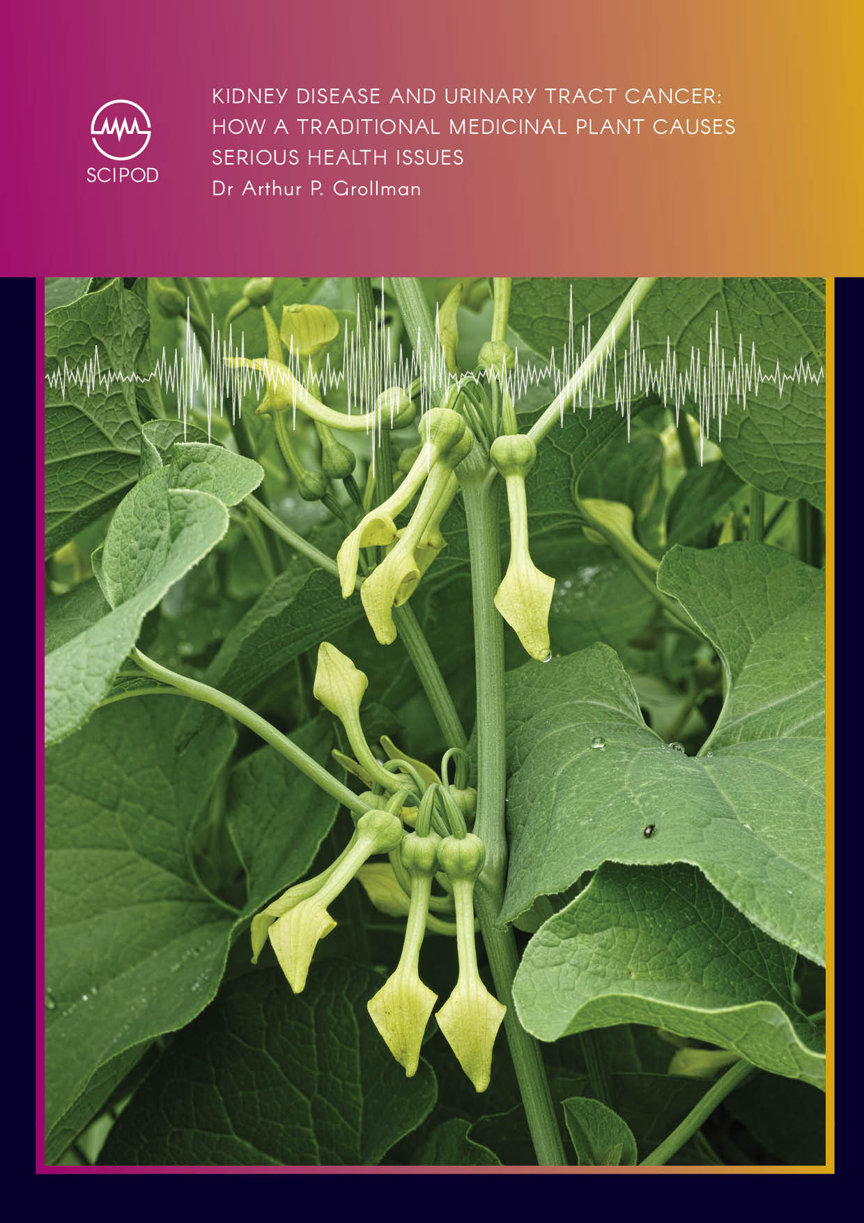 Professor Arthur Grollman | Kidney Disease and Urinary Tract Cancer: How a Traditional Medicinal Plant Causes Serious Health Issues