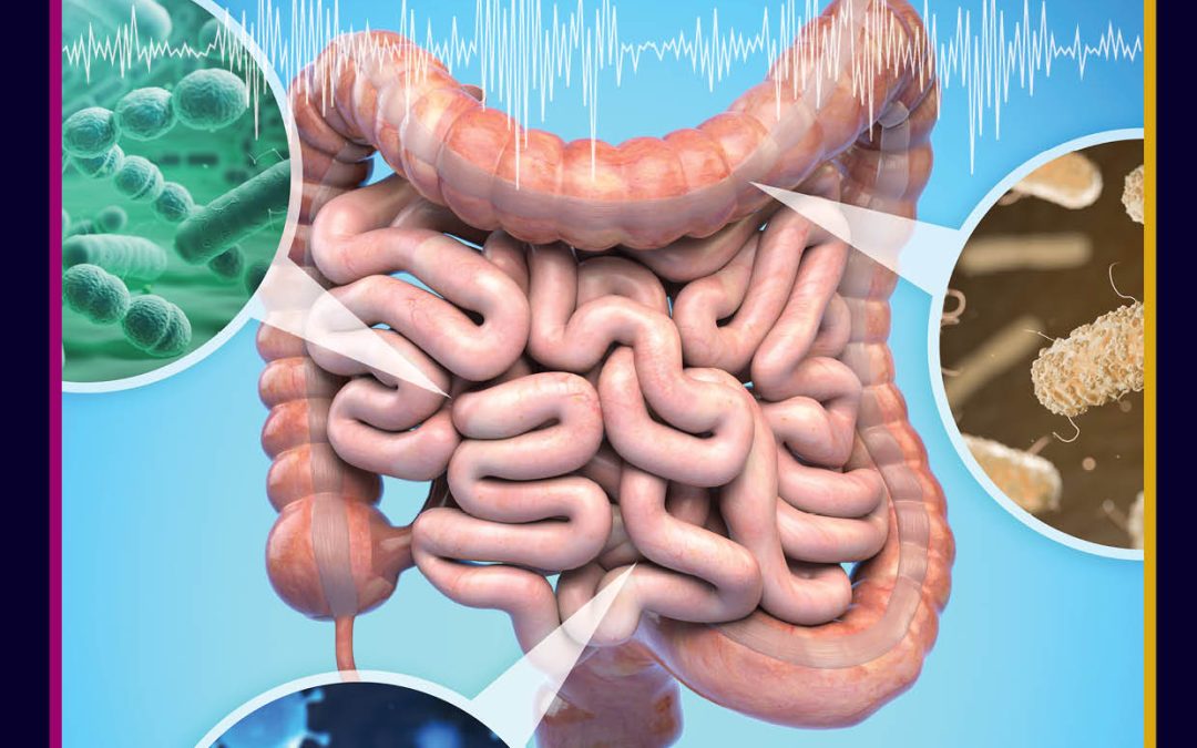 Dr Francesca Ronchi | How Gut Bacteria Influences Brain Health