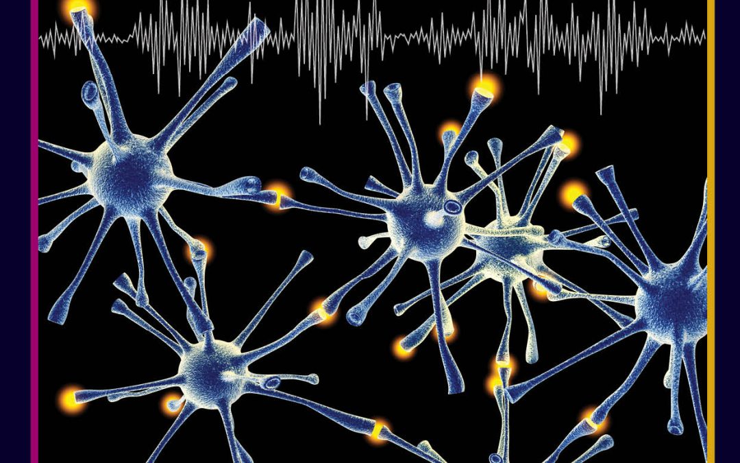 Professor Eckehard Schöll | Moritz Gerster – Rewiring the Brain: How a Small-world Network Structure Mimics Spontaneous Synchronisation in Epileptic Seizures
