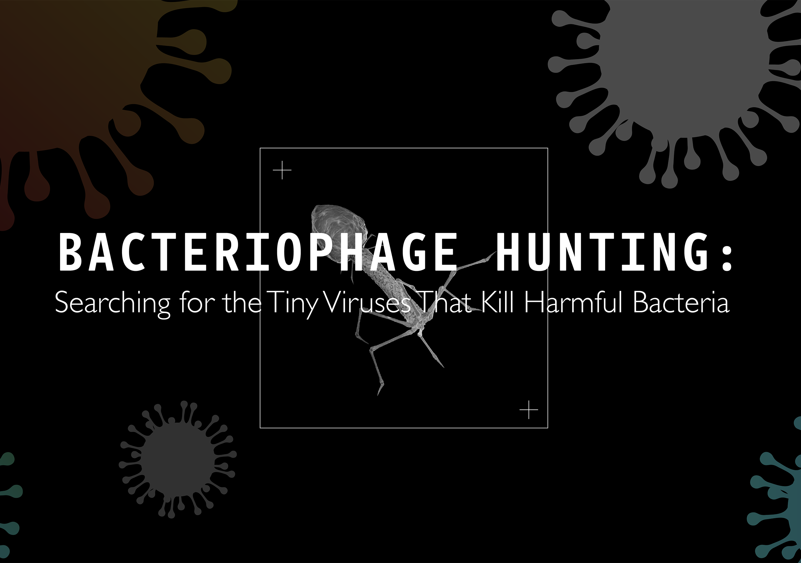 Dr Kristin Parent | Bacteriophage Hunting: Searching for the Tiny Viruses That Kill Harmful Bacteria