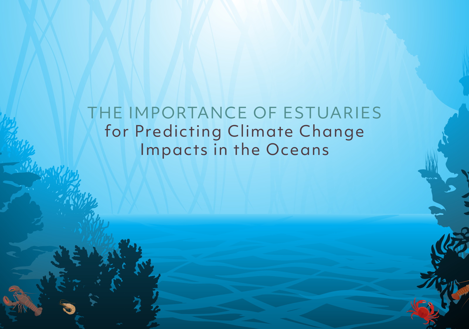 Krti Tallam | The Importance of Estuaries for Predicting Climate Change Impacts in the Oceans