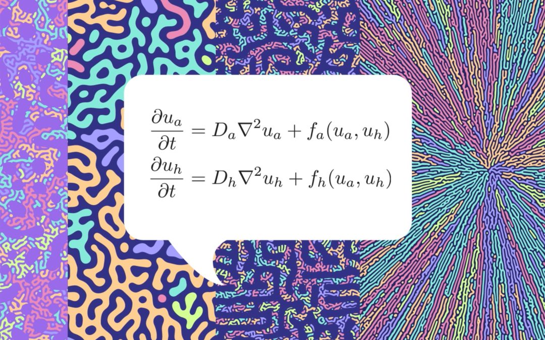 Yuki Fuseya | Exploring Turing Patterns at Atomic Levels