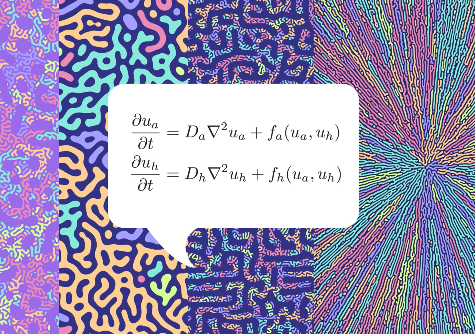 Yuki Fuseya | Exploring Turing Patterns at Atomic Levels