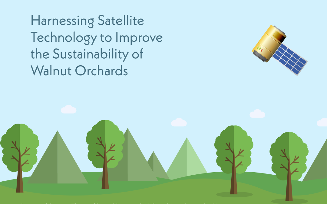 Dr Ana Elisa Rato – Dr Adélia Sousa | Harnessing Satellite Technology to Improve the Sustainability of Walnut Orchards