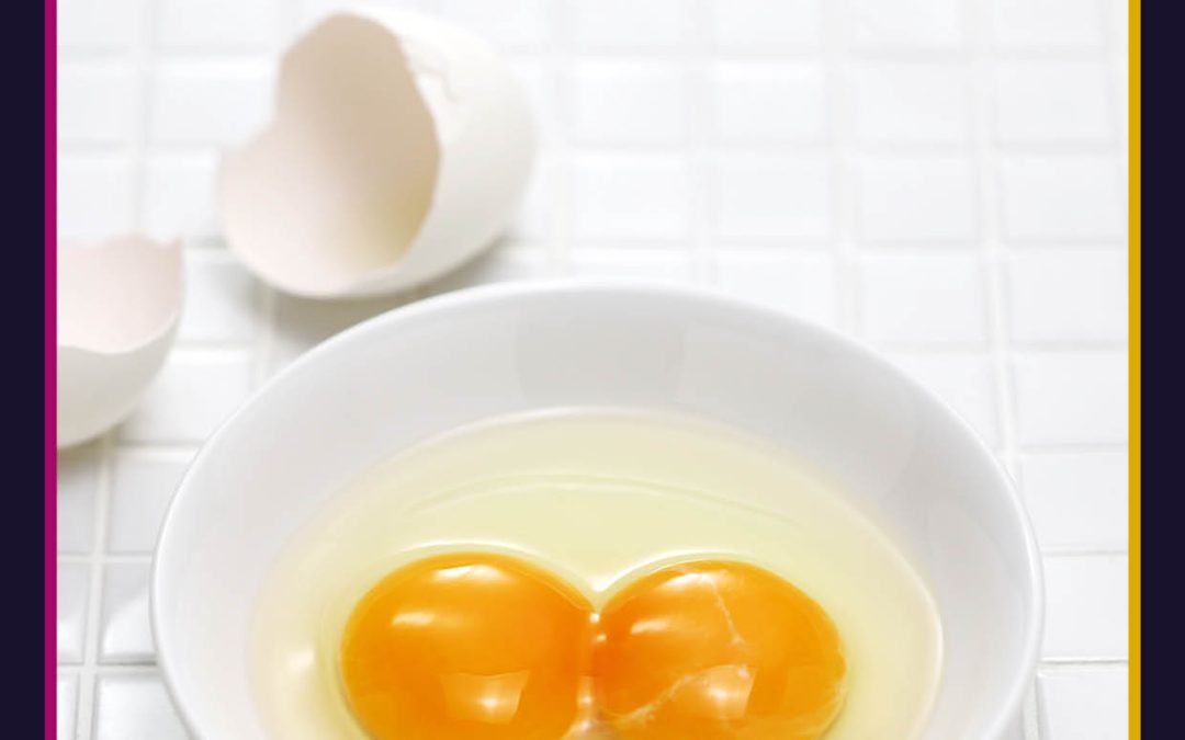 Dr Attila Salamon | Dr John Kent – Double-Yolked Eggs: Egg-cellent or Egg-cident?