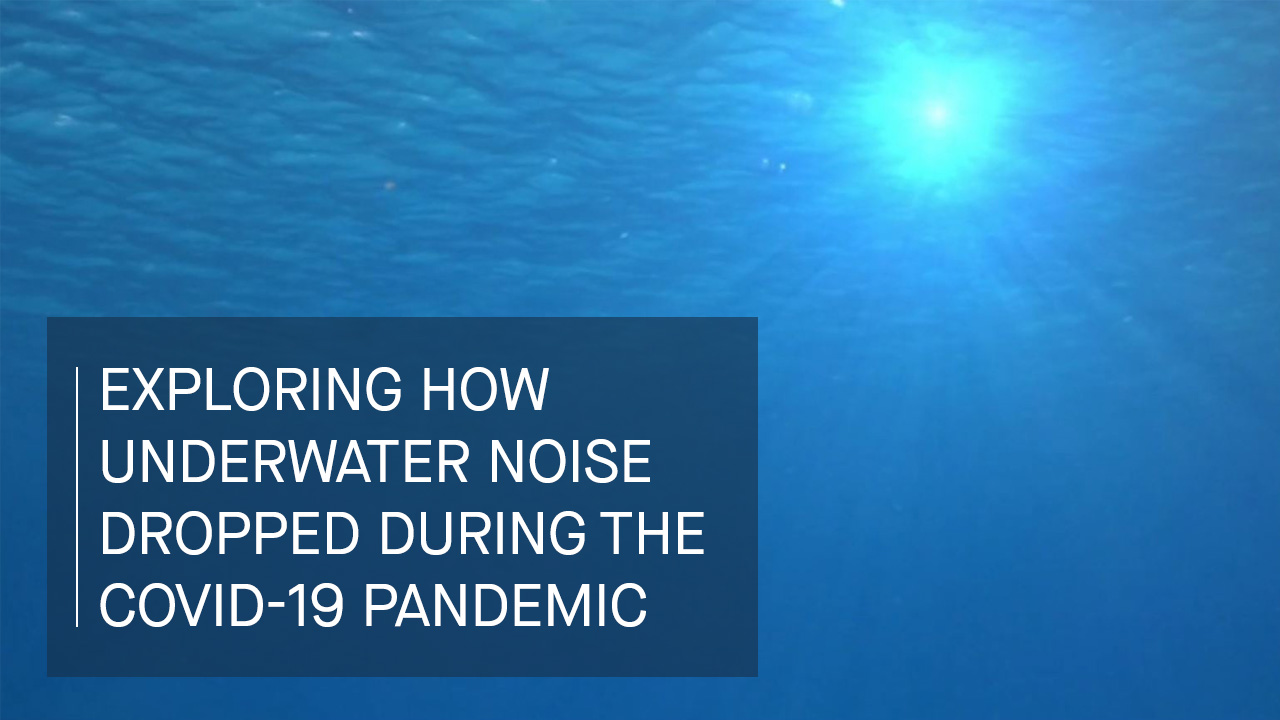 Fritjof Basan | Exploring How Underwater Noise Dropped During the COVID-19 Pandemic