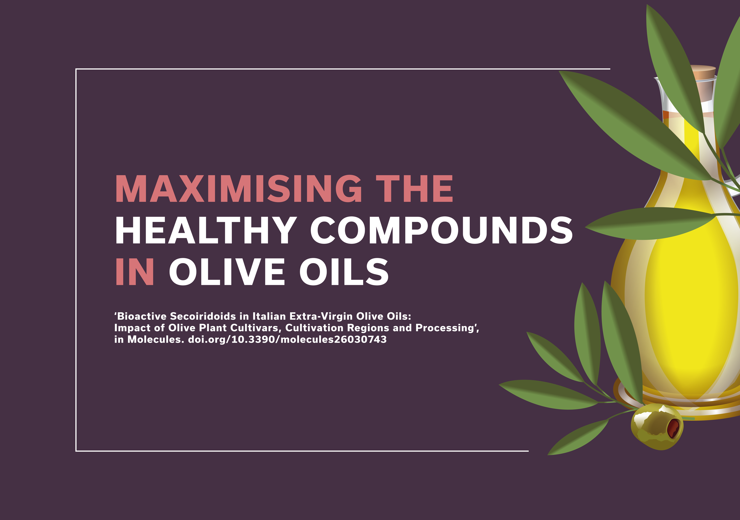 Dr Ilario Losito | Maximising the Healthy Compounds in Olive Oils