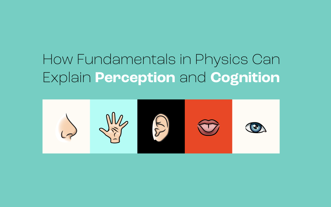 Professor Zygmunt Pizlo | How Fundamentals in Physics Can Explain Perception and Cognition