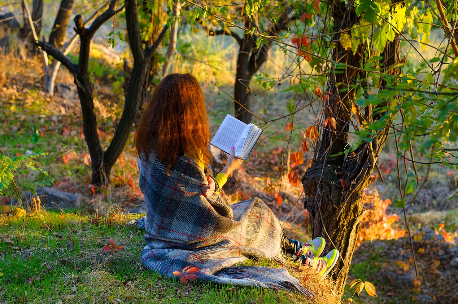 Professor George Micajah Phillips | What Early-20th-Century Writers Can Teach Us About Life During Environmental Uncertainty