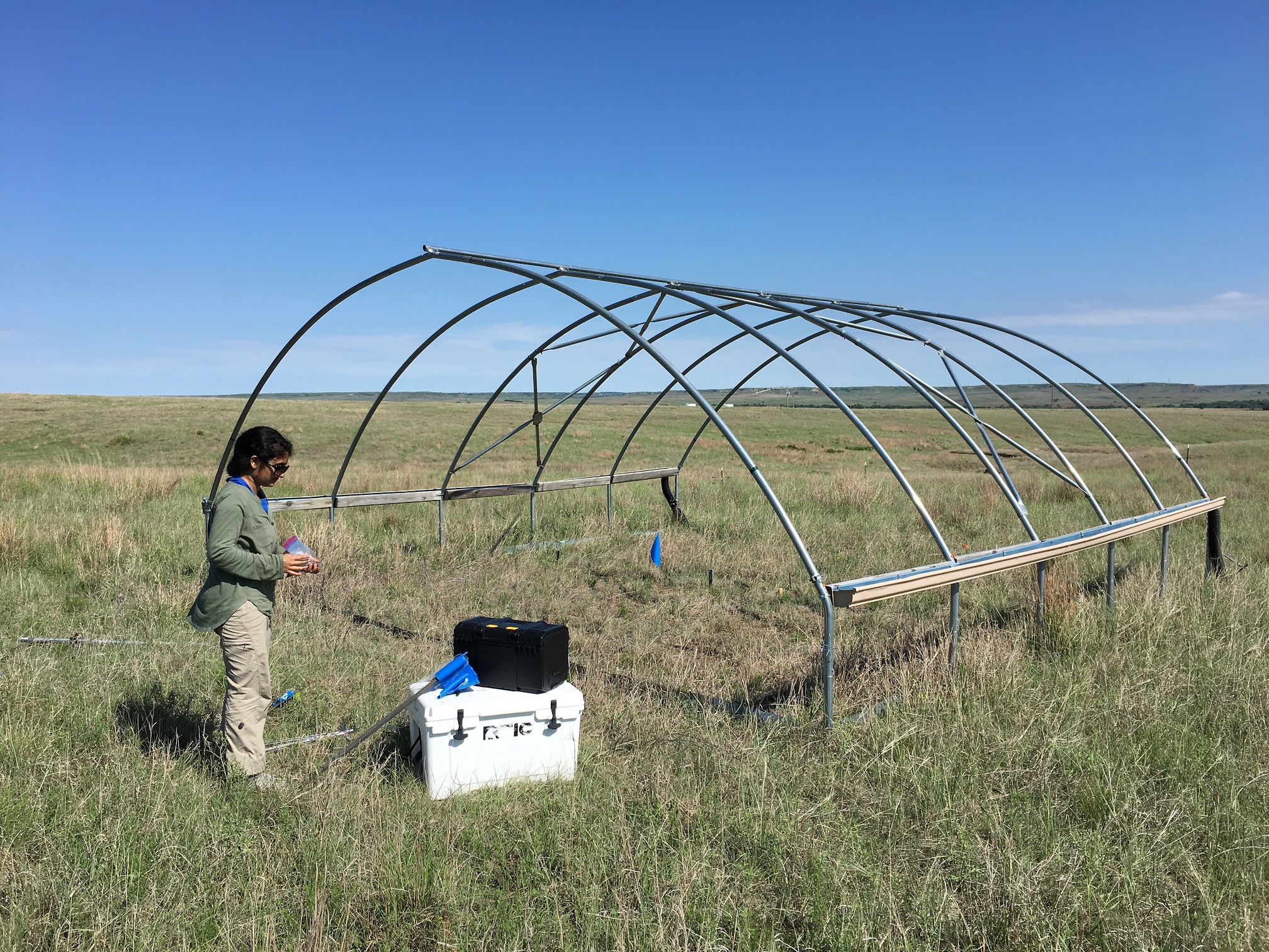 Dr Ari Jumpponen | Exploring How Soil Fungi Respond to Drought