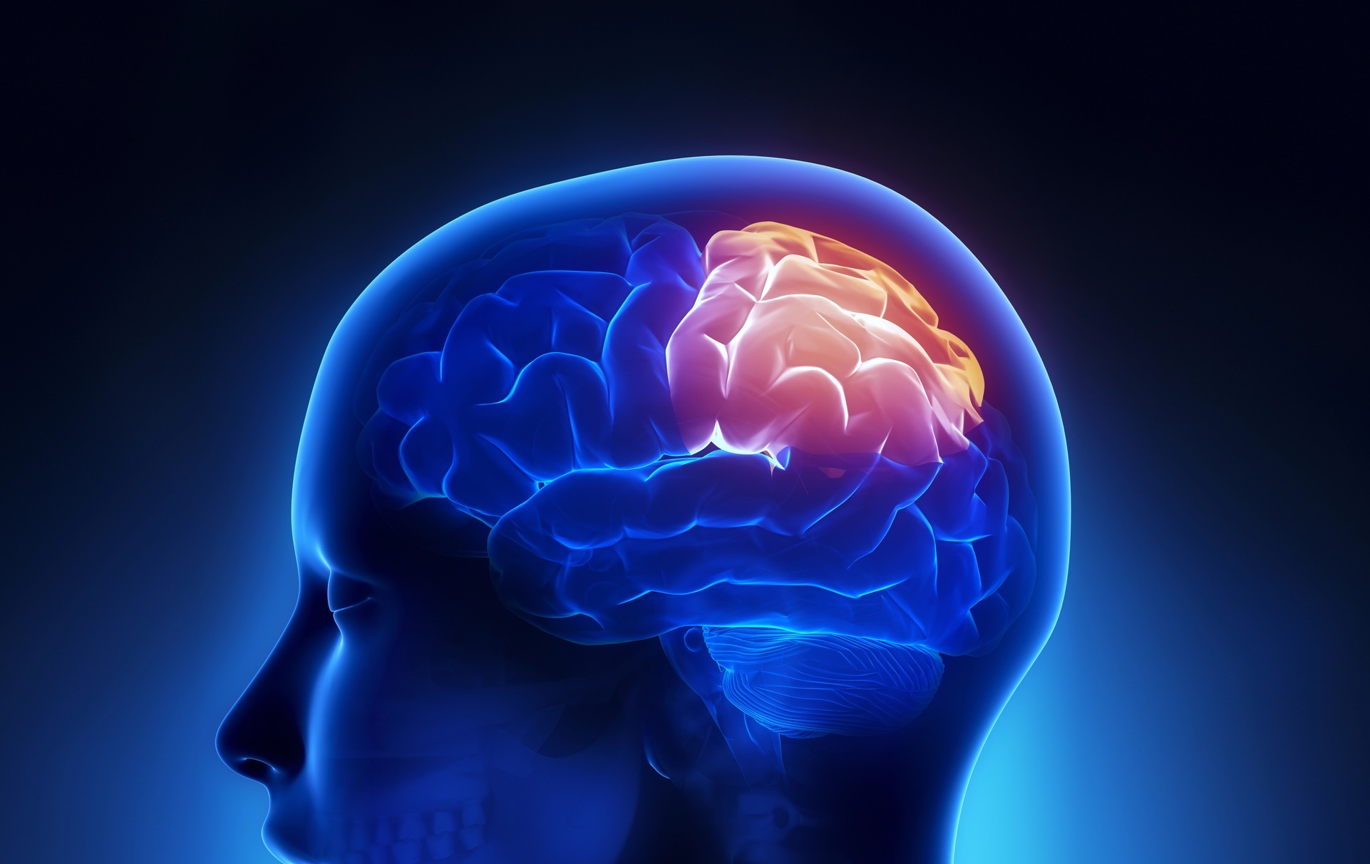 Dr John Kershner | Understanding the Causes and Brain Mechanisms Behind Dyslexia